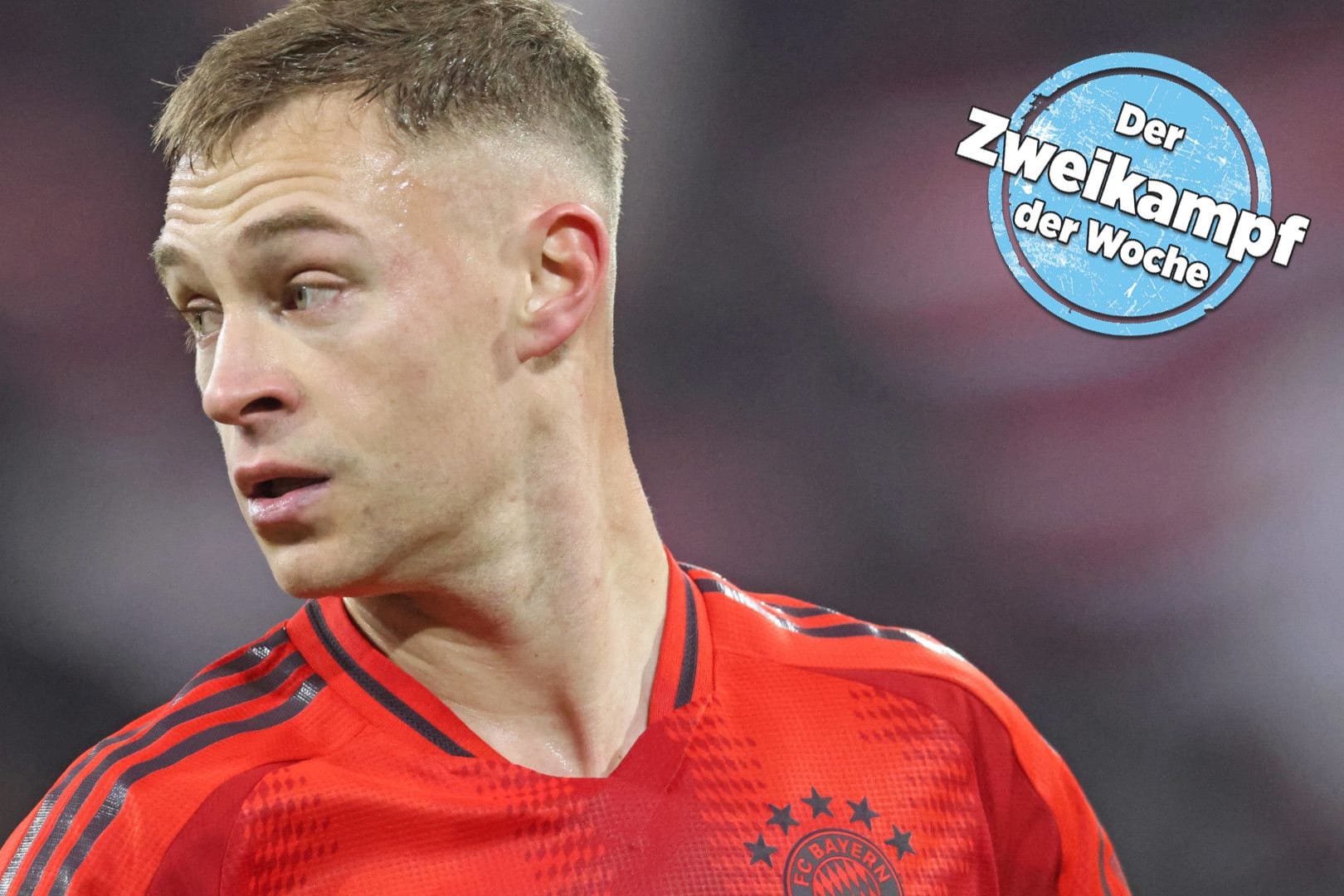 Joshua Kimmich wird als neuer Kapitän und Nachfolger von Manuel Neuer in diesem Amt gehandelt. Dafür müsste er allerdings einen neuen Vertrag über den Sommer hinaus unterschreiben. Joshua Kimmich wird als neuer Kapitän und Nachfolger von Manuel Neuer in diesem Amt gehandelt. Dafür müsste er allerdings einen neuen Vertrag über den Sommer hinaus unterschreiben.